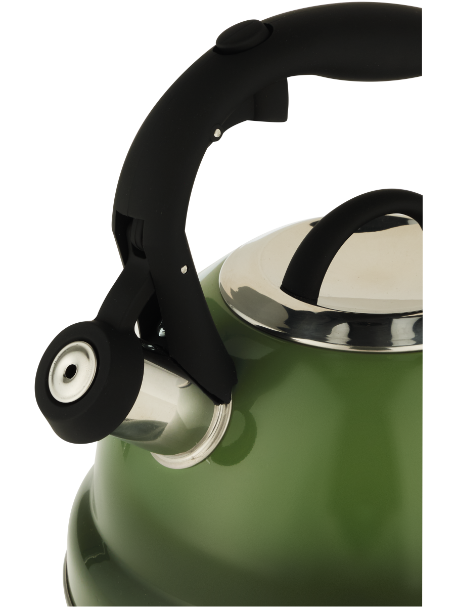 2.7L Stainless Steel Stovetop Kettle