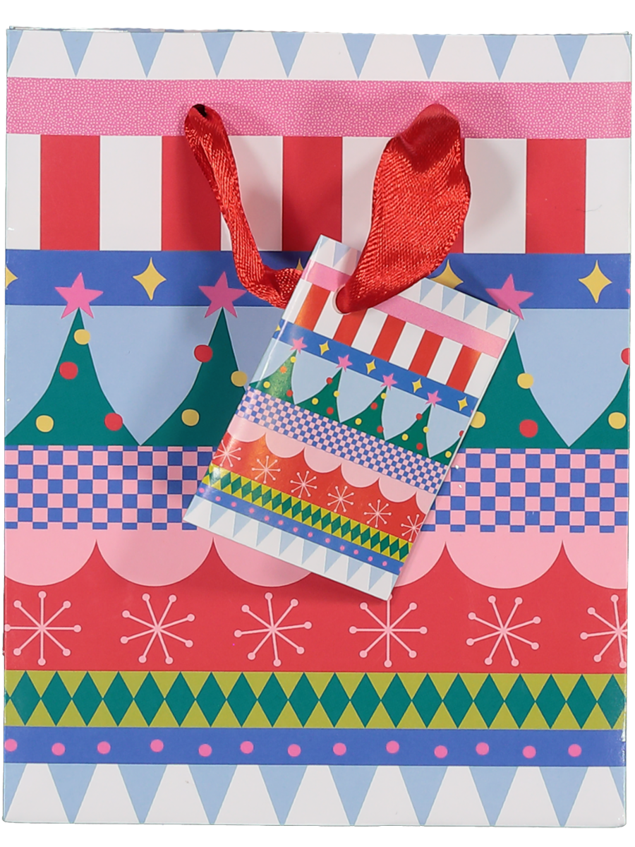 Small Christmas Gift Bag (Design/Colour may vary) (1)