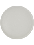 Picnic Plate