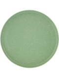 Picnic Plate (1)