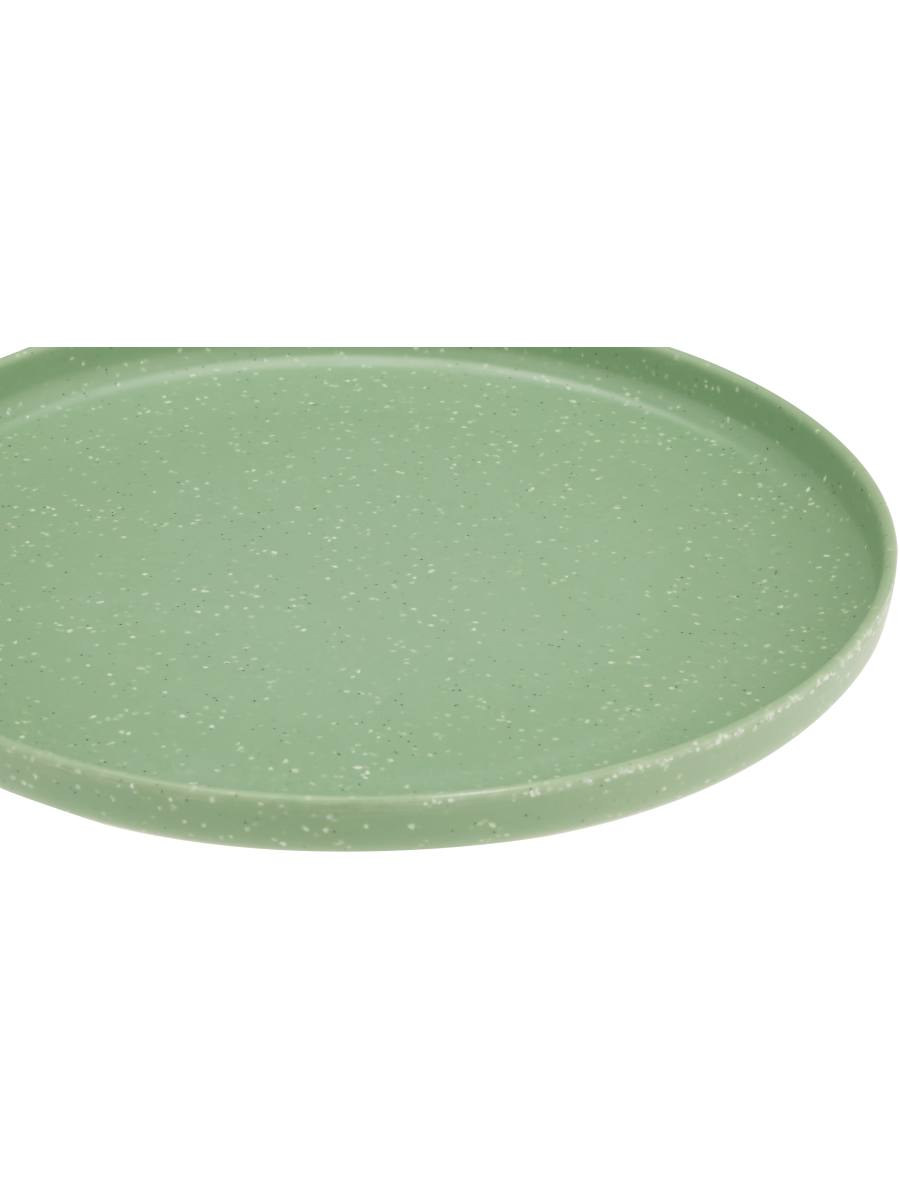 Picnic Plate (4)