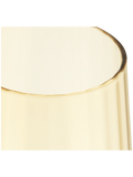 Champagne Glass (1)