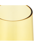 Champagne Glass (1)
