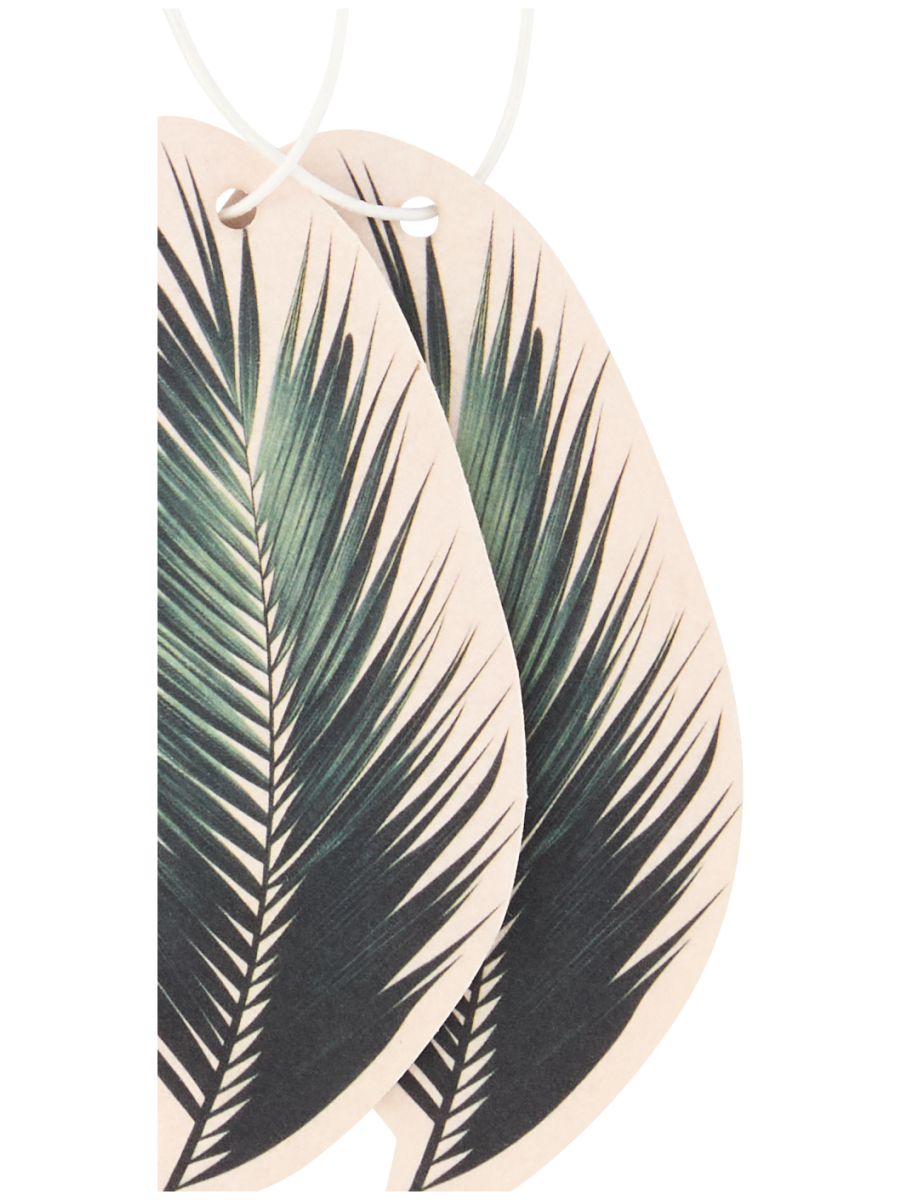 Car Air Freshener (2)