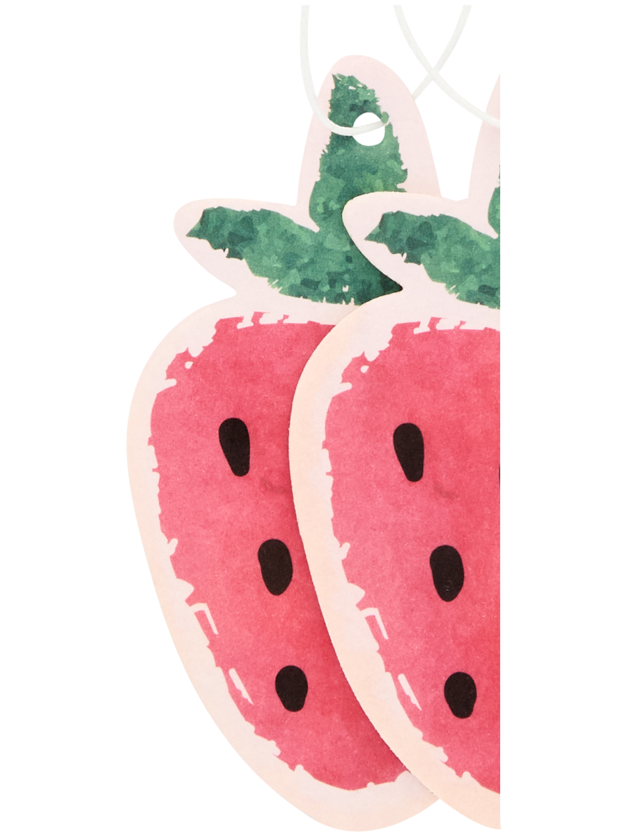 Car Air Freshener (3)