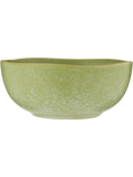 Speckled Bowl (1)