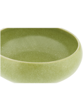Speckled Bowl (1)