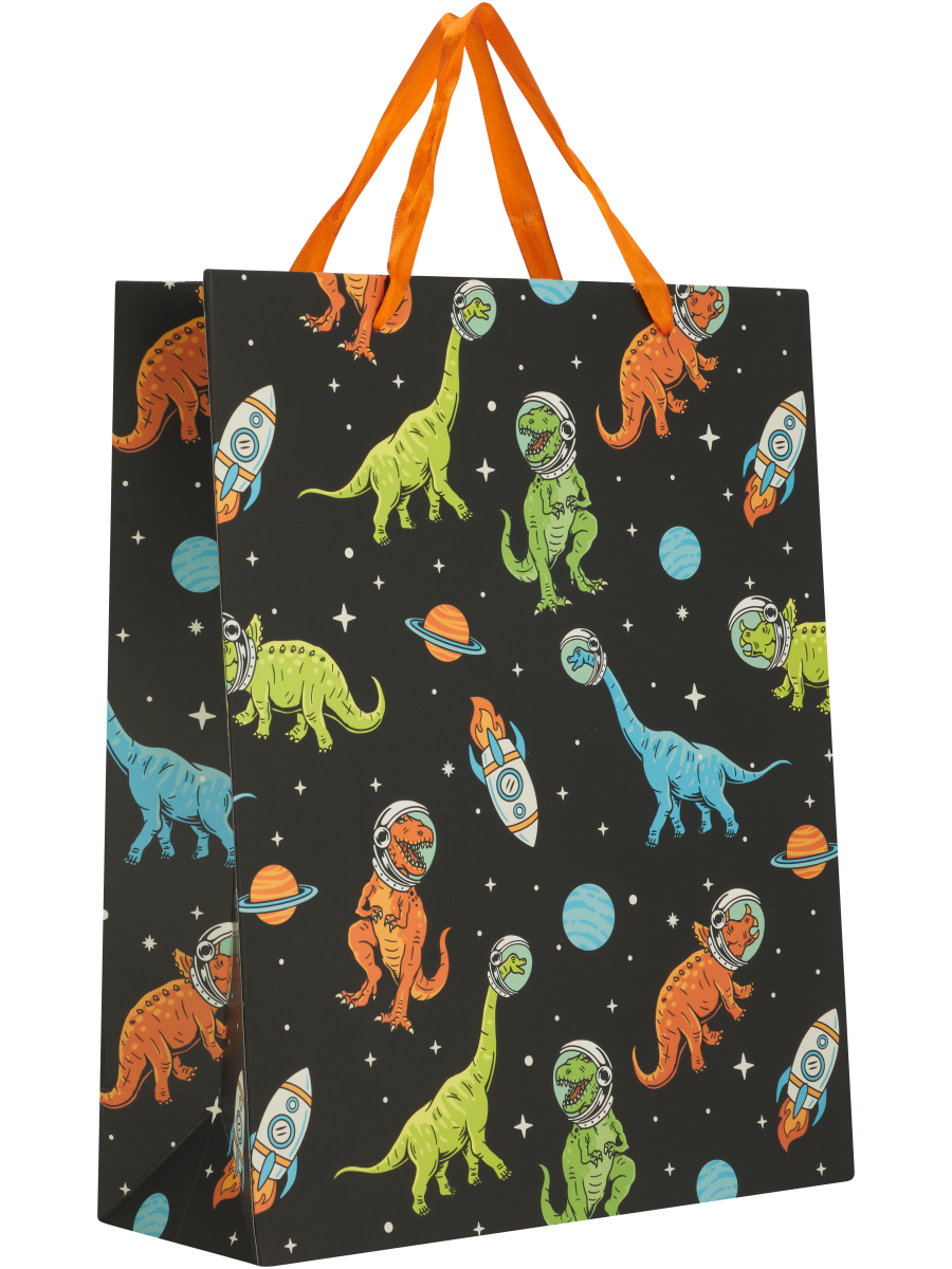 Gift Bag (3)