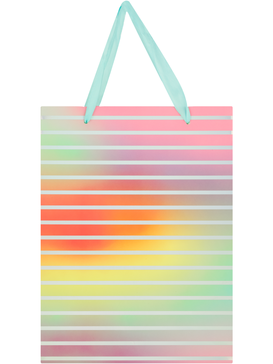 Colourful Gift Bag (Design/Colour may vary)