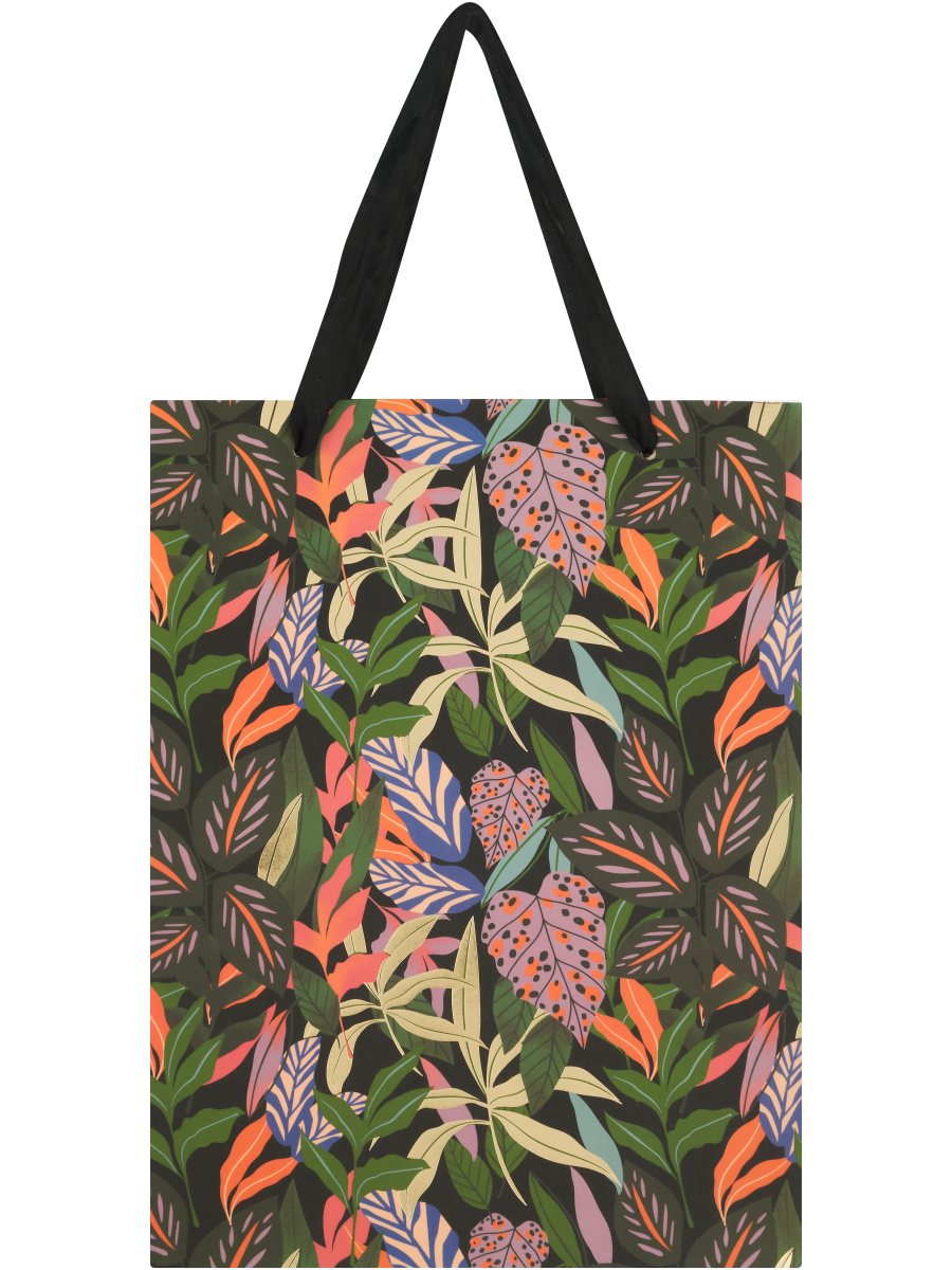 Colourful Gift Bag (Design/Colour may vary)