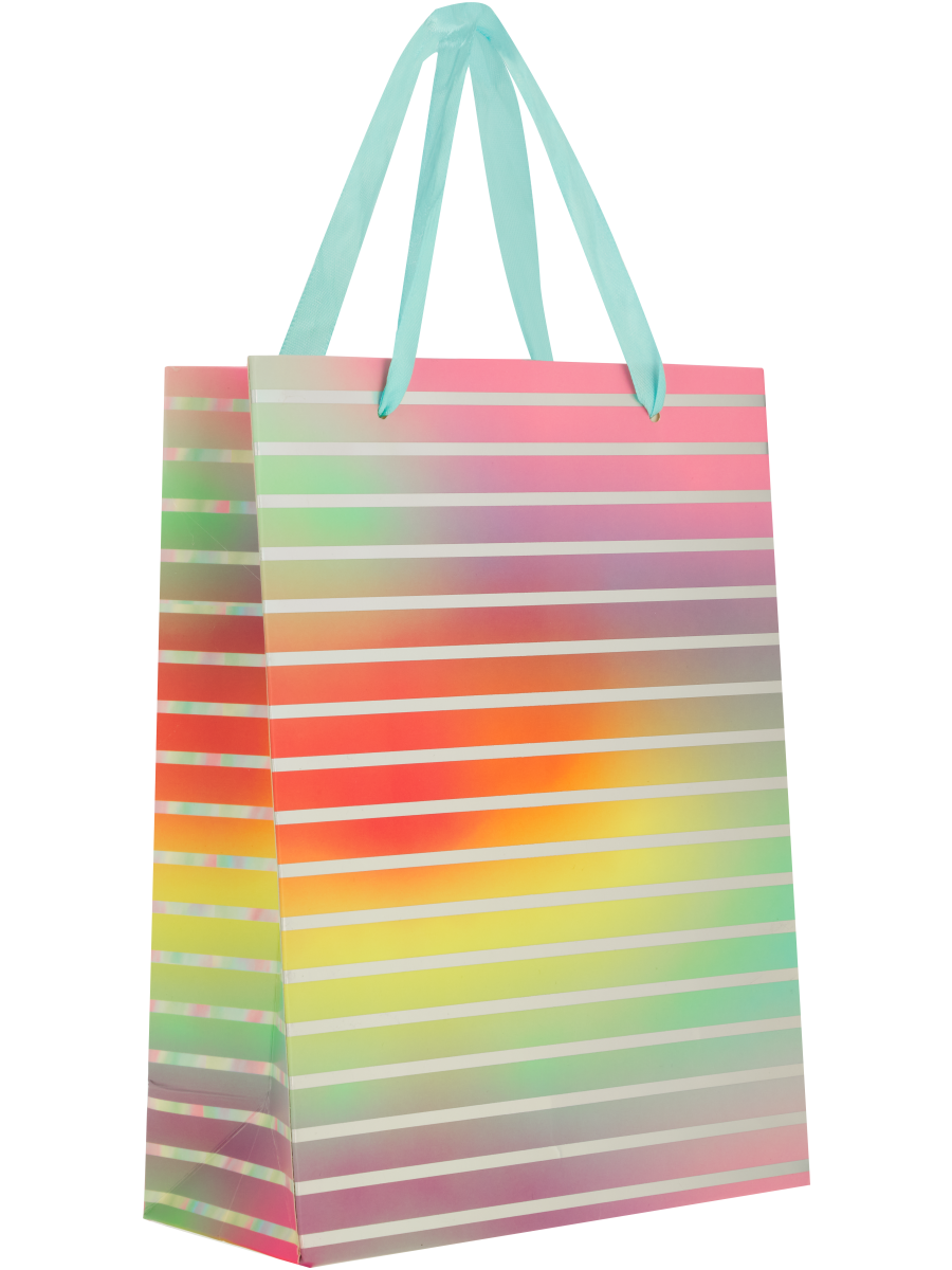 Colourful Gift Bag (3)