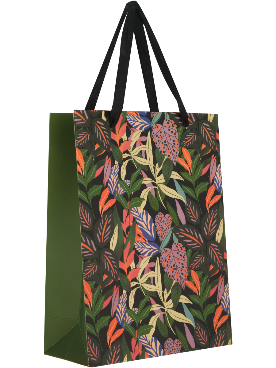 Colourful Gift Bag (2)