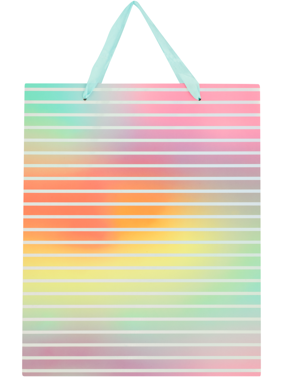 Colourful Gift Bag (Design/Colour may vary)