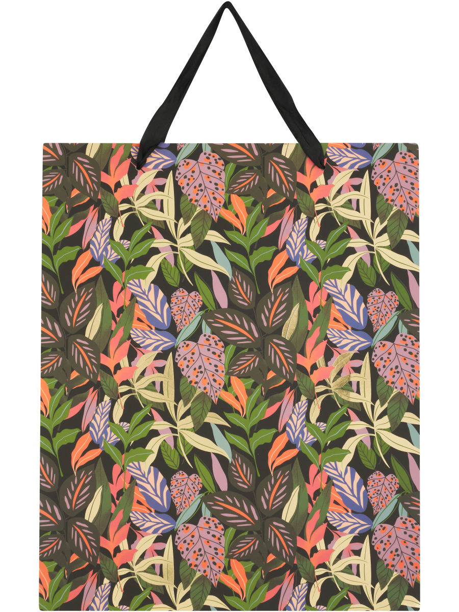 Colourful Gift Bag (Design/Colour may vary)