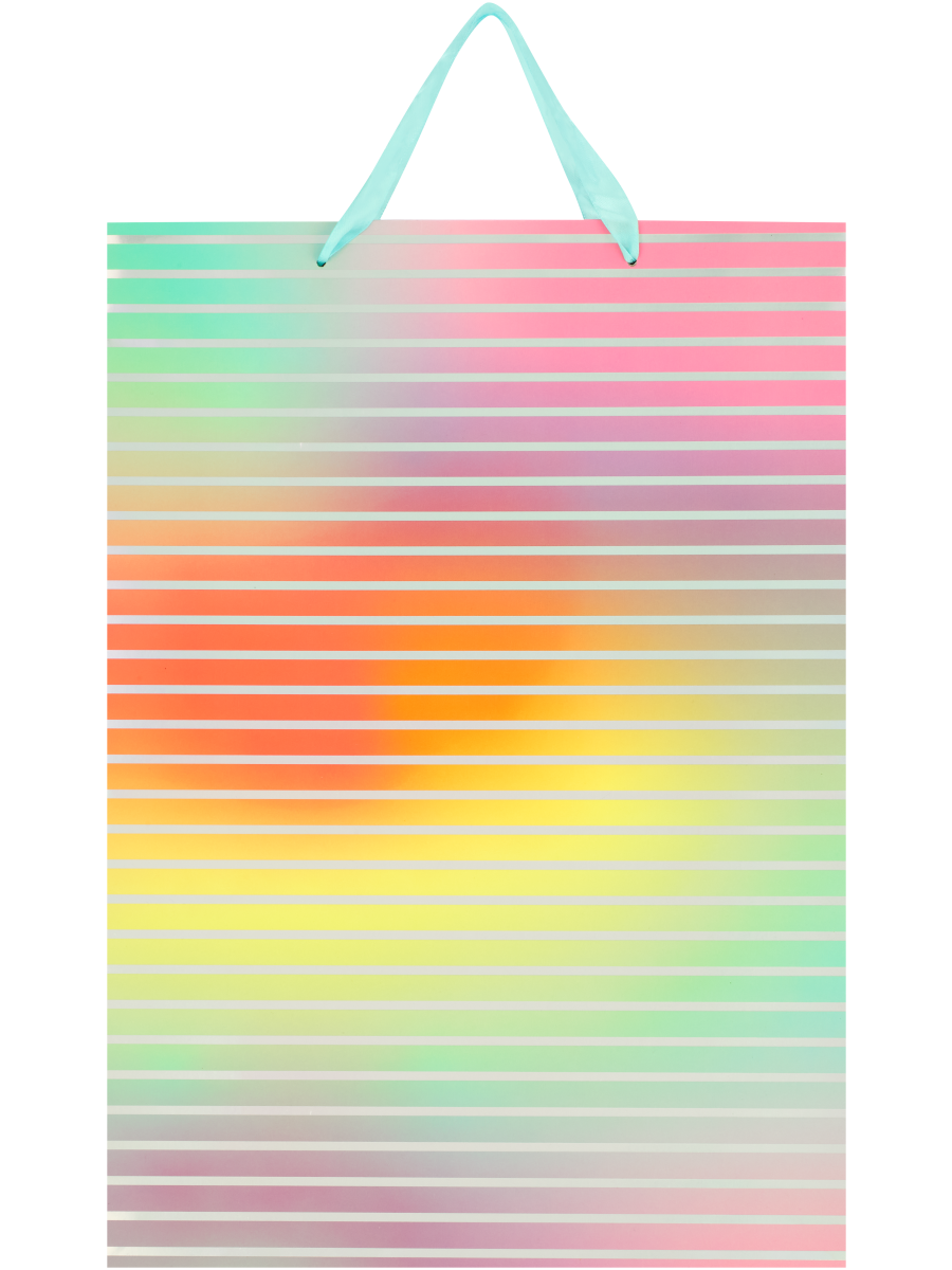 Colourful Gift Bag (Design/Colour may vary)