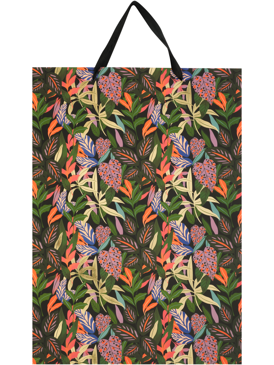 Colourful Gift Bag (Design/Colour may vary)