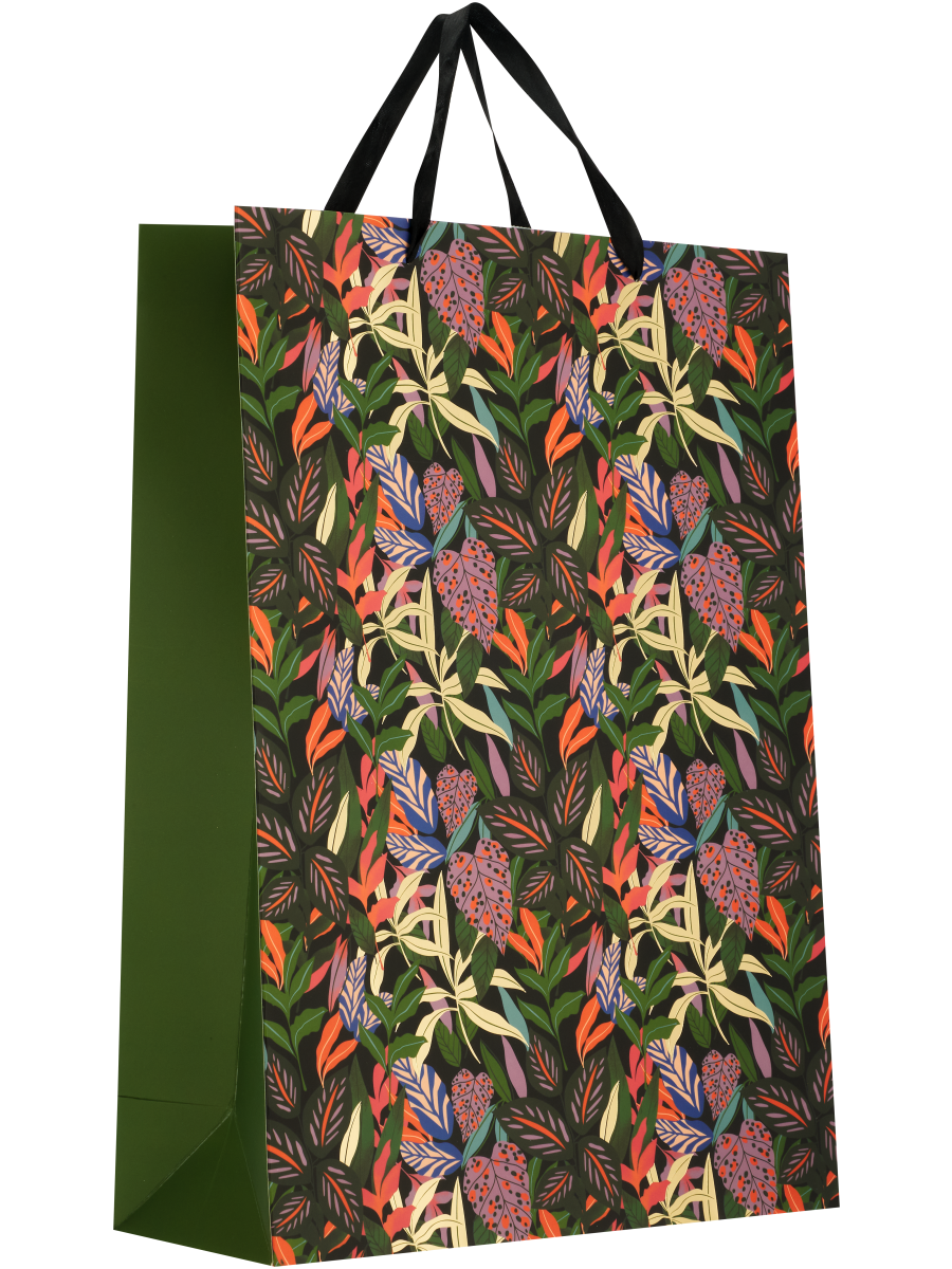 Colourful Gift Bag (2)