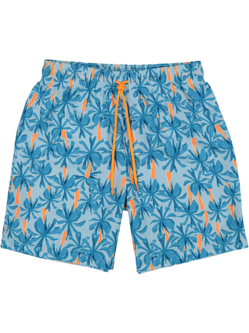 Blue Printed Shorts