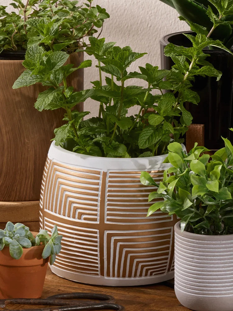 gold pots for plants Geo Gold Flower Pot – PEP Online