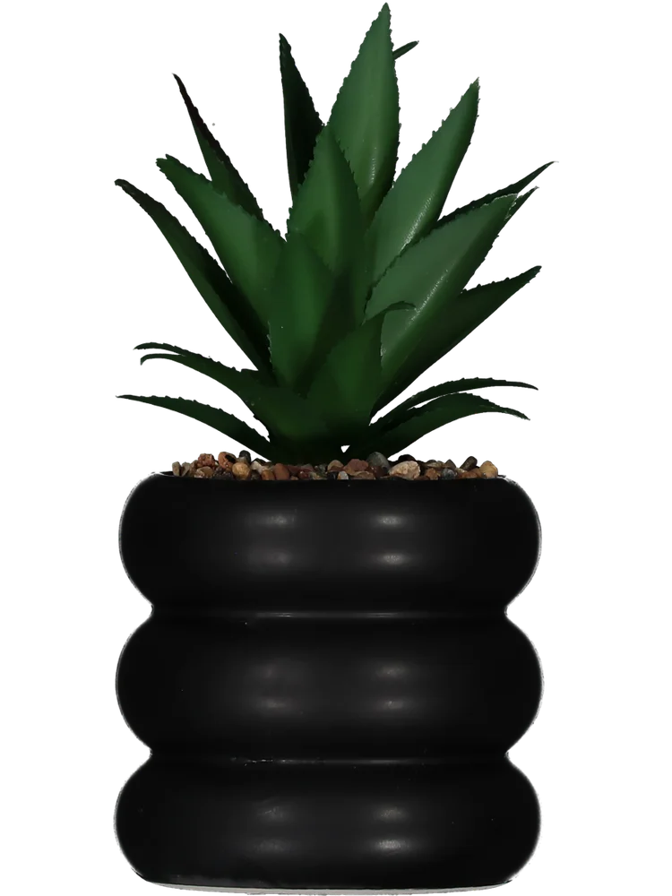bobbly succulent Artificial Succulent Plant in Black Ribbed Pot – PEP Online