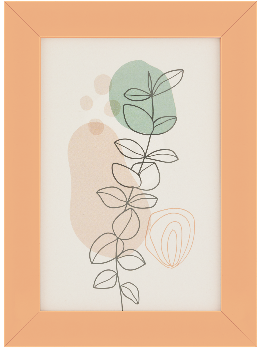Entry Frame