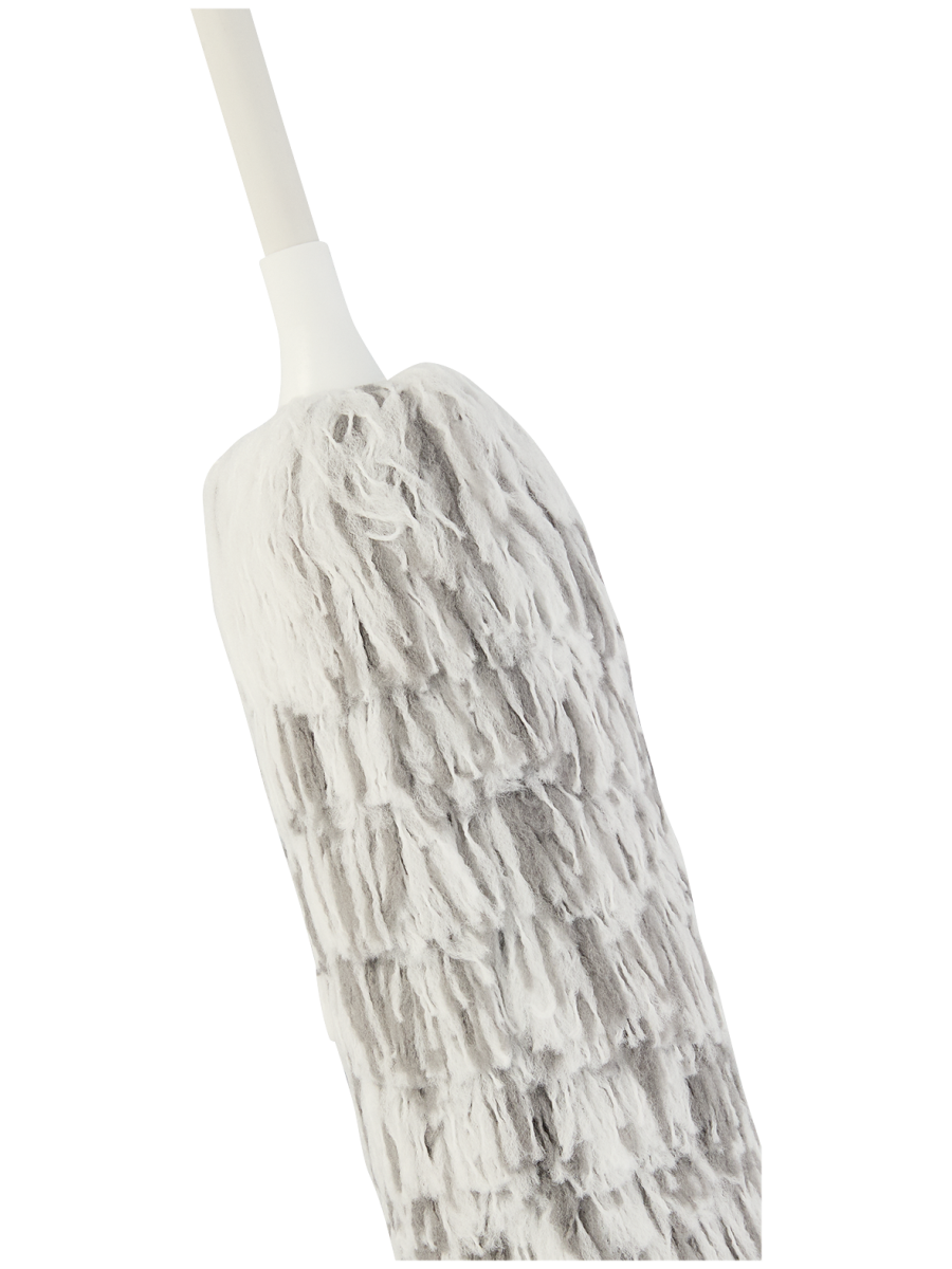 Feather Duster