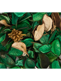 Pot Pourri (4)