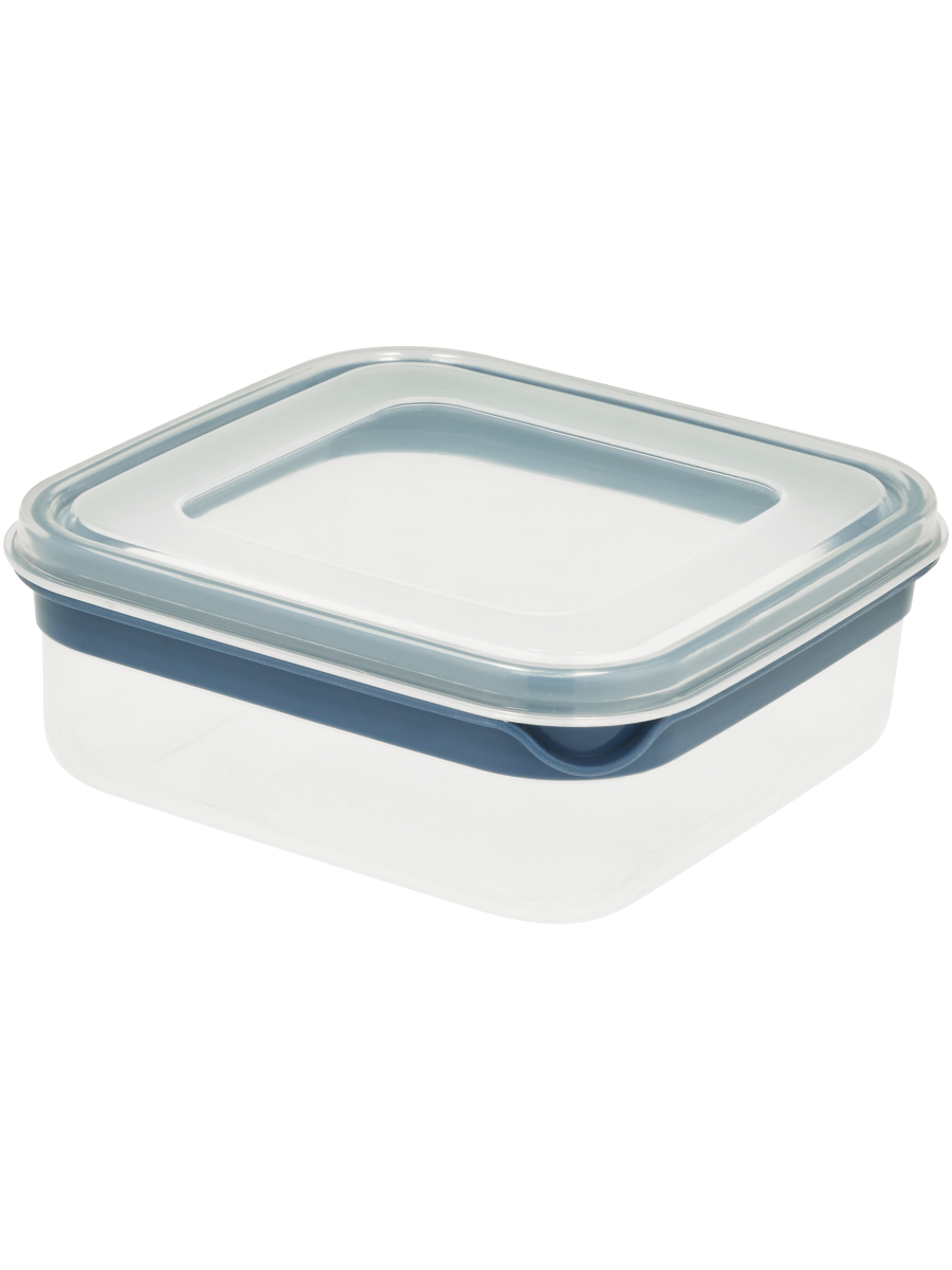 Blue Stripe Square Container