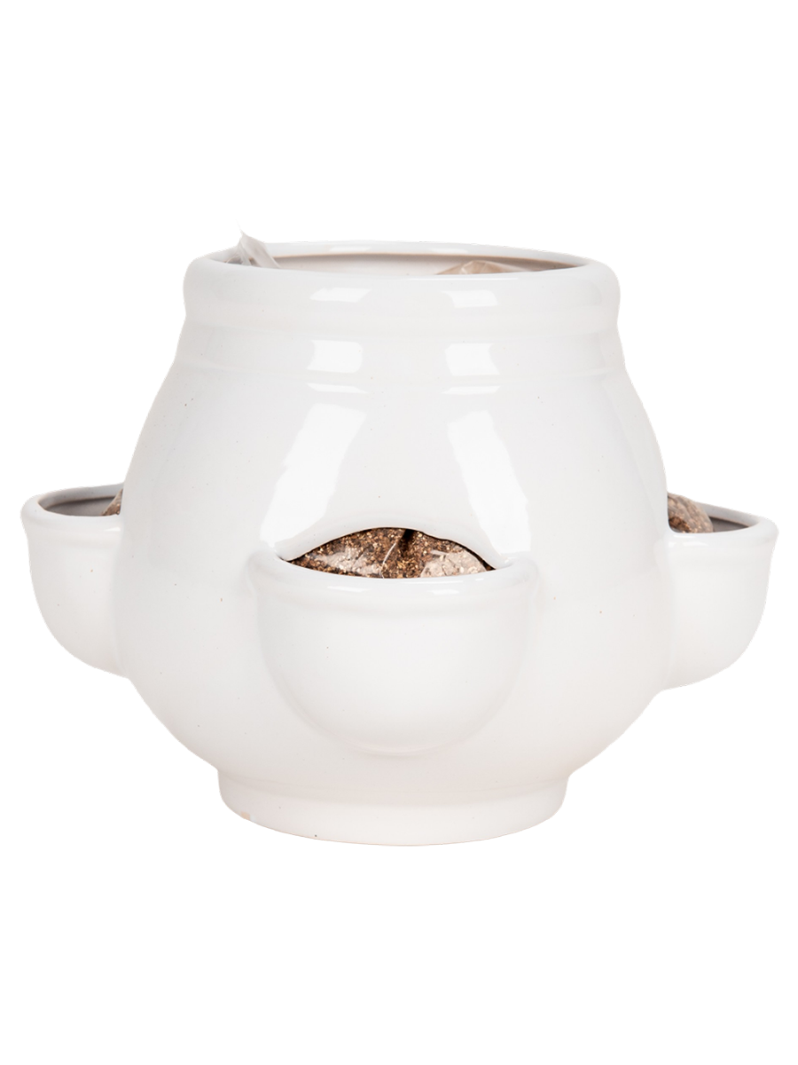 Garden Herb Pot