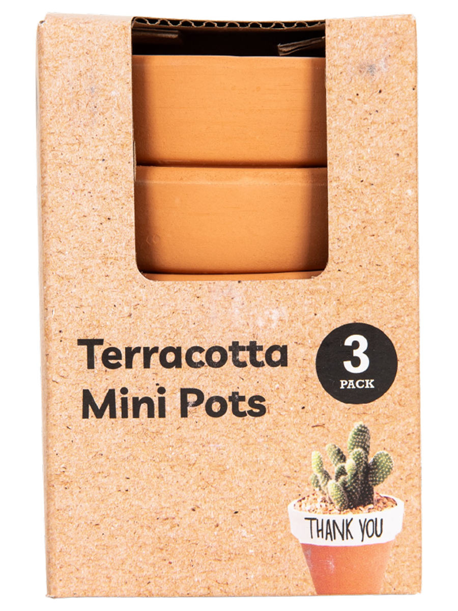 Terracotta Mini Pots
