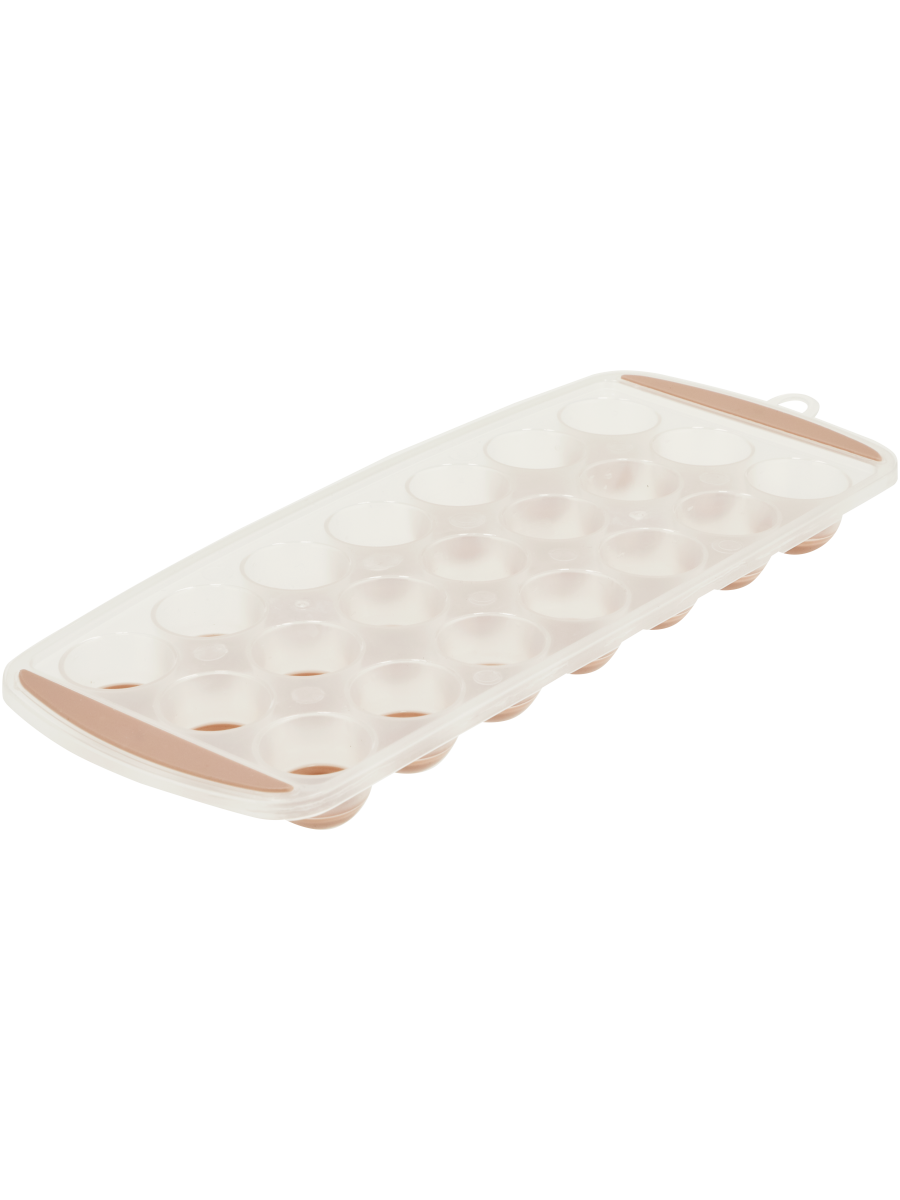 Ice Tray (Design/Colour may vary) (2)