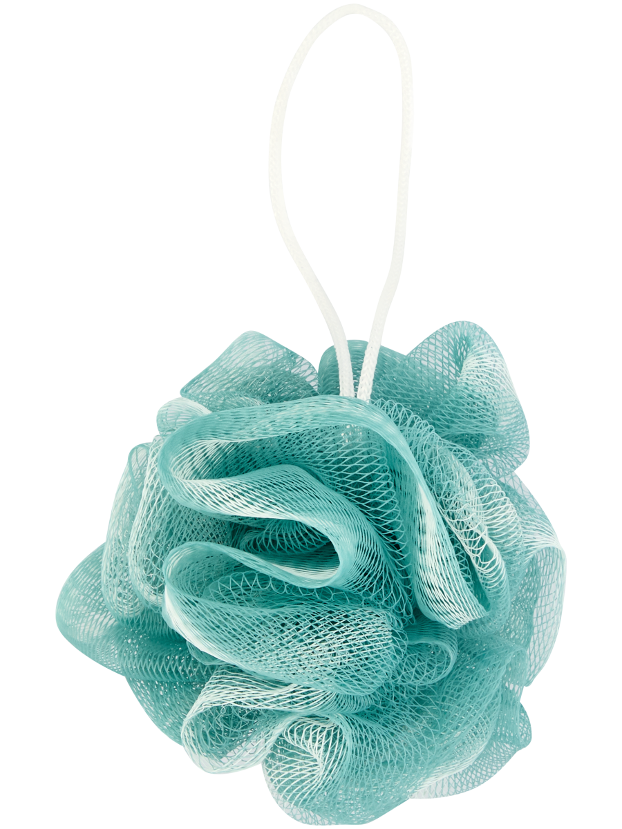 Shower Sponge (Design/Colour may vary) (4)