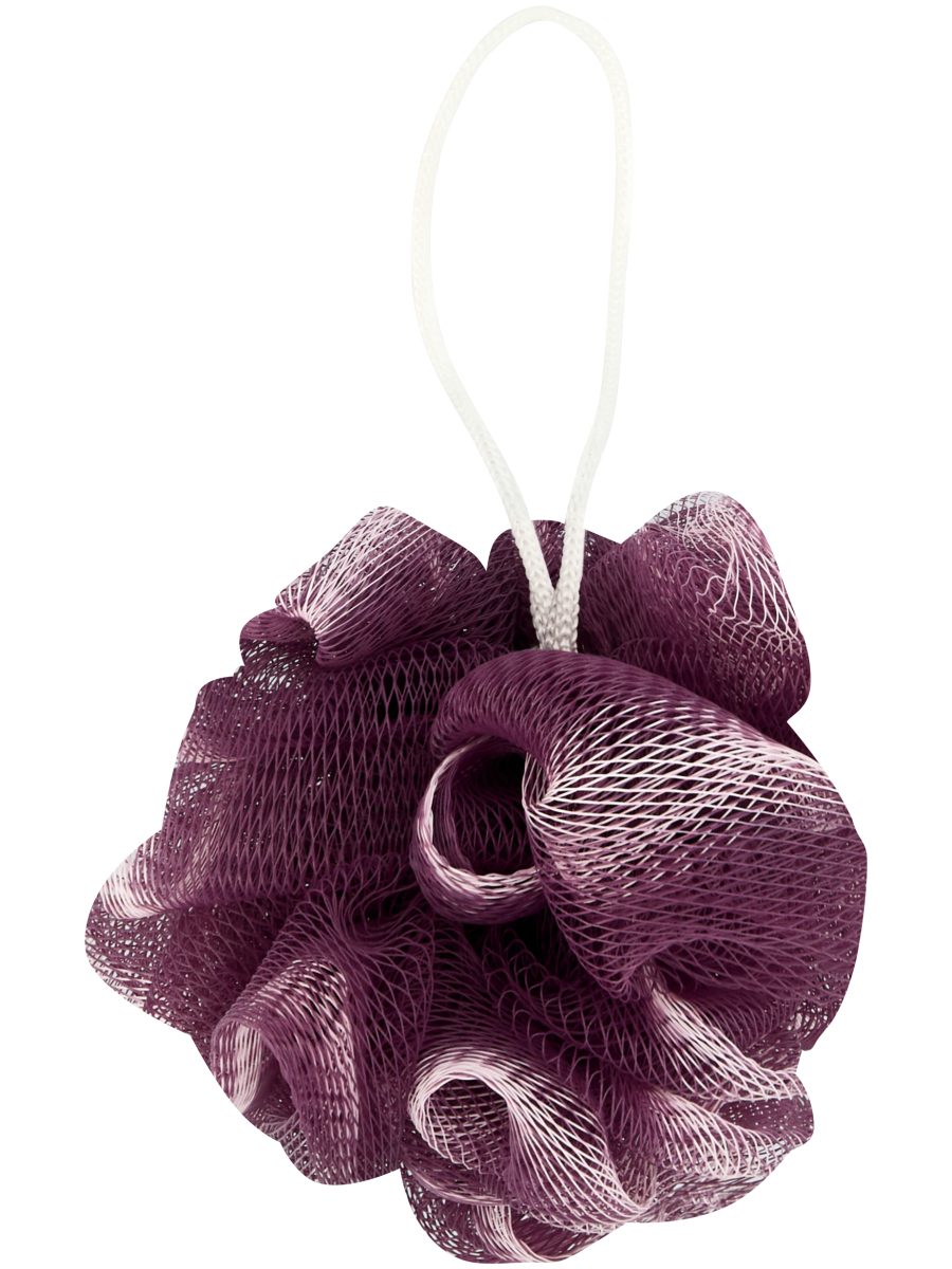 Shower Sponge (Design/Colour may vary) (2)