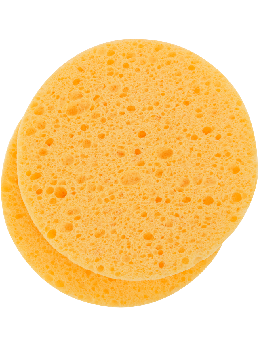 Facial Sponge