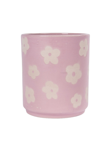 Decorative Pot Plant