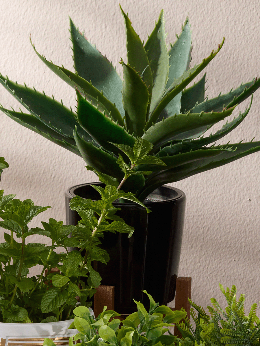 Buy Laptop Stand - Stationary | PEP