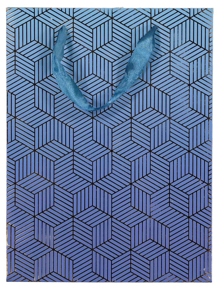 Buy Medium Luxury Gift Bag (Design/Colour may vary) Party