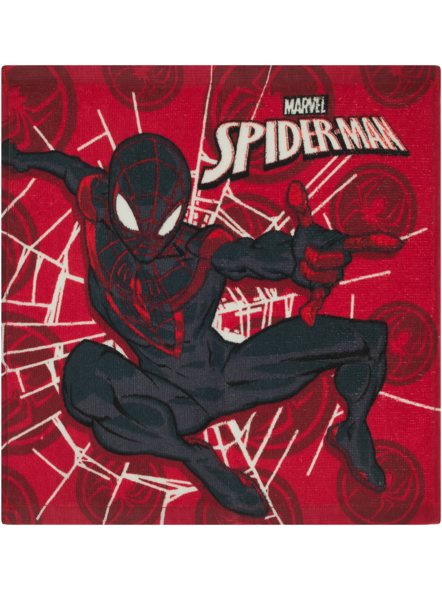 Character Face Cloth Spider-Man