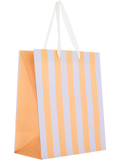 Gift Bag (5)
