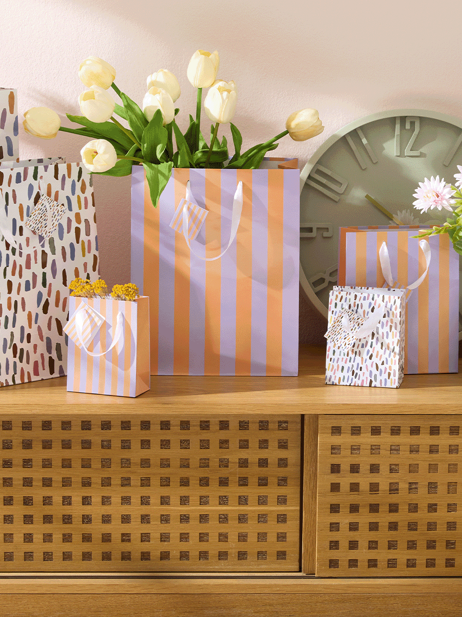 Large Printed Gift Bag