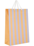 Gift Bag (3)