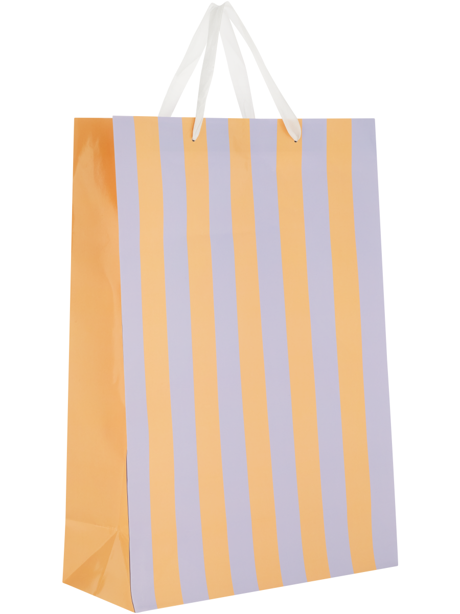 Gift Bag (3)