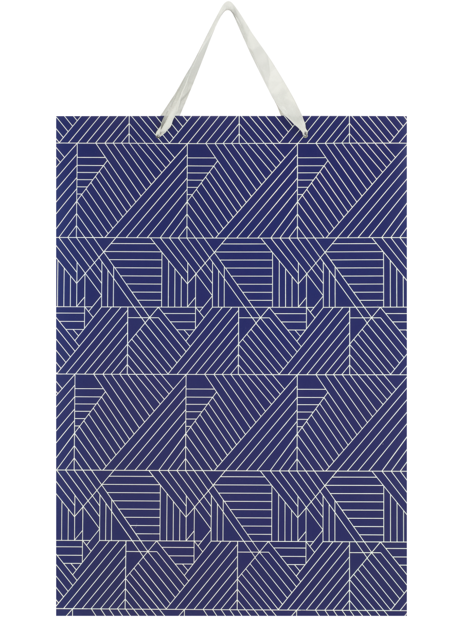 Geometric Or Squiggle Gift Bag