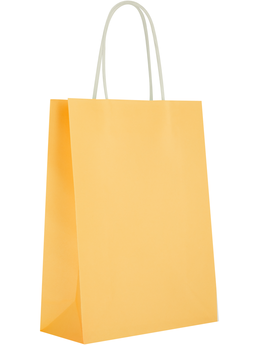 Assorted Solid Colour Paper Gift Bags (Design/Colour may vary)