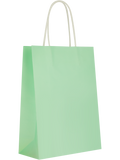 Assorted Solid Colour Paper Gift Bags (11)