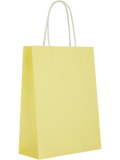 Assorted Solid Colour Paper Gift Bags (10)