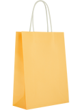 Assorted Solid Colour Paper Gift Bags (9)