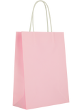 Assorted Solid Colour Paper Gift Bags (8)