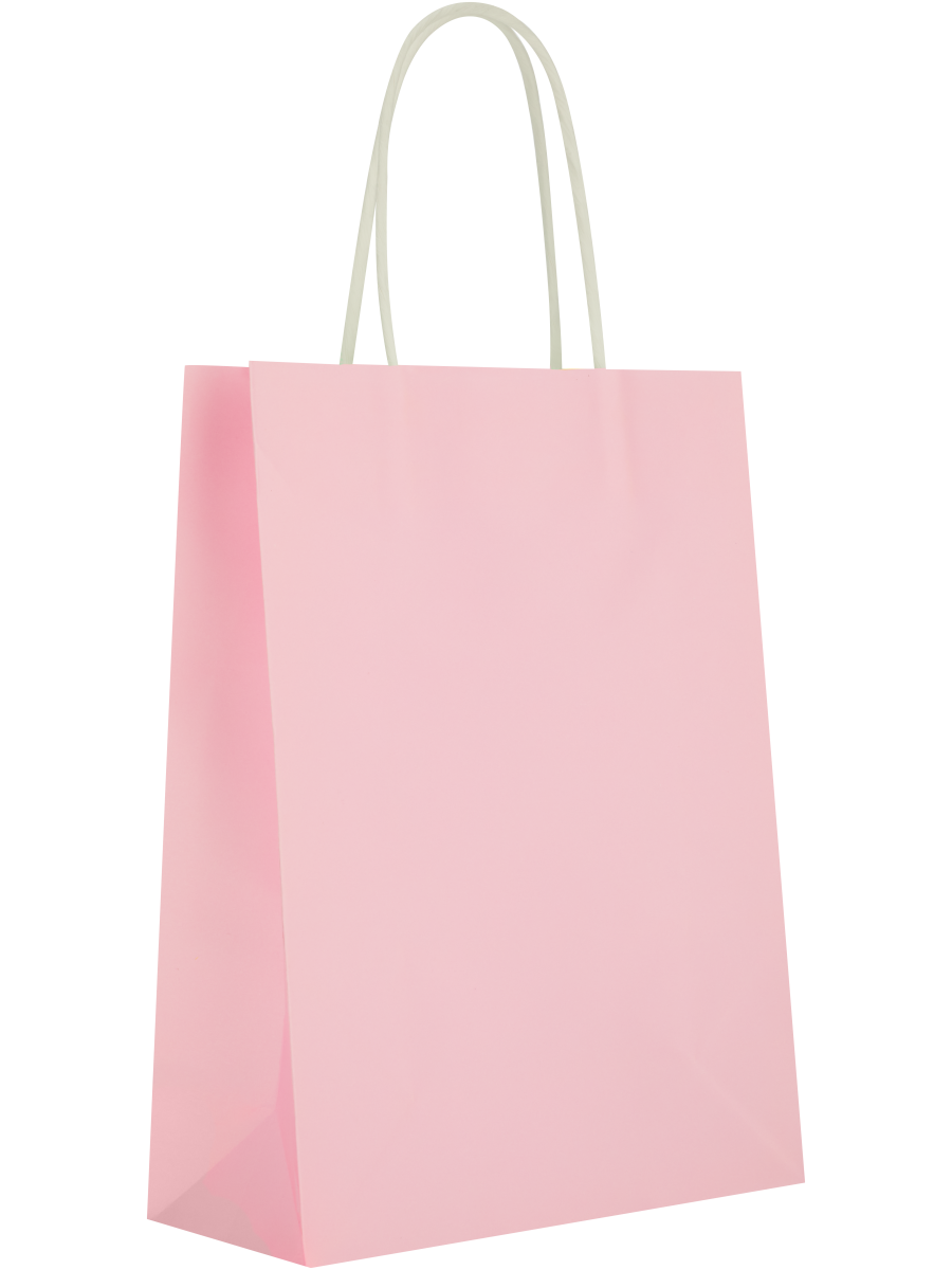 Assorted Solid Colour Paper Gift Bags (8)