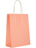 Assorted Solid Colour Paper Gift Bags (7)